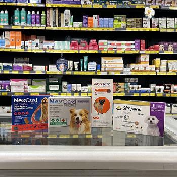 Antipulgas para Cães no Pimentas - Guarulhos