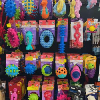 Brinquedo para Cachorro na Vila Rosália - Guarulhos