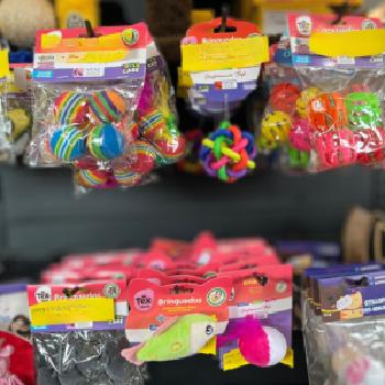 Brinquedo para Gatos em Guarulhos - SP
